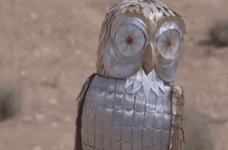 bubo-the-owl
