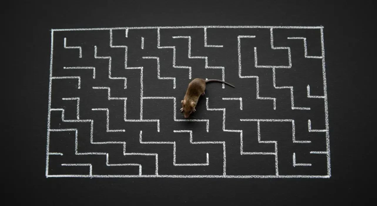 The Physiological Constraints of Free Will blog post
