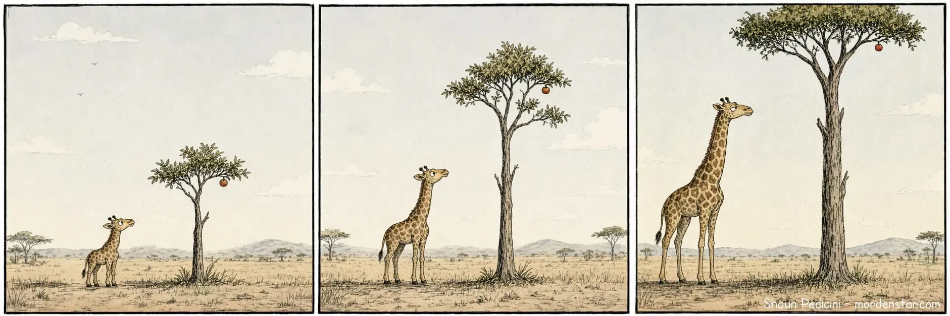 giraffe-fruit