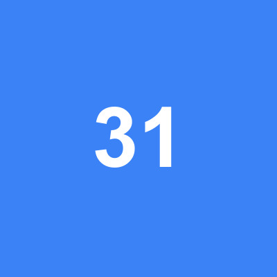 Test Image 31